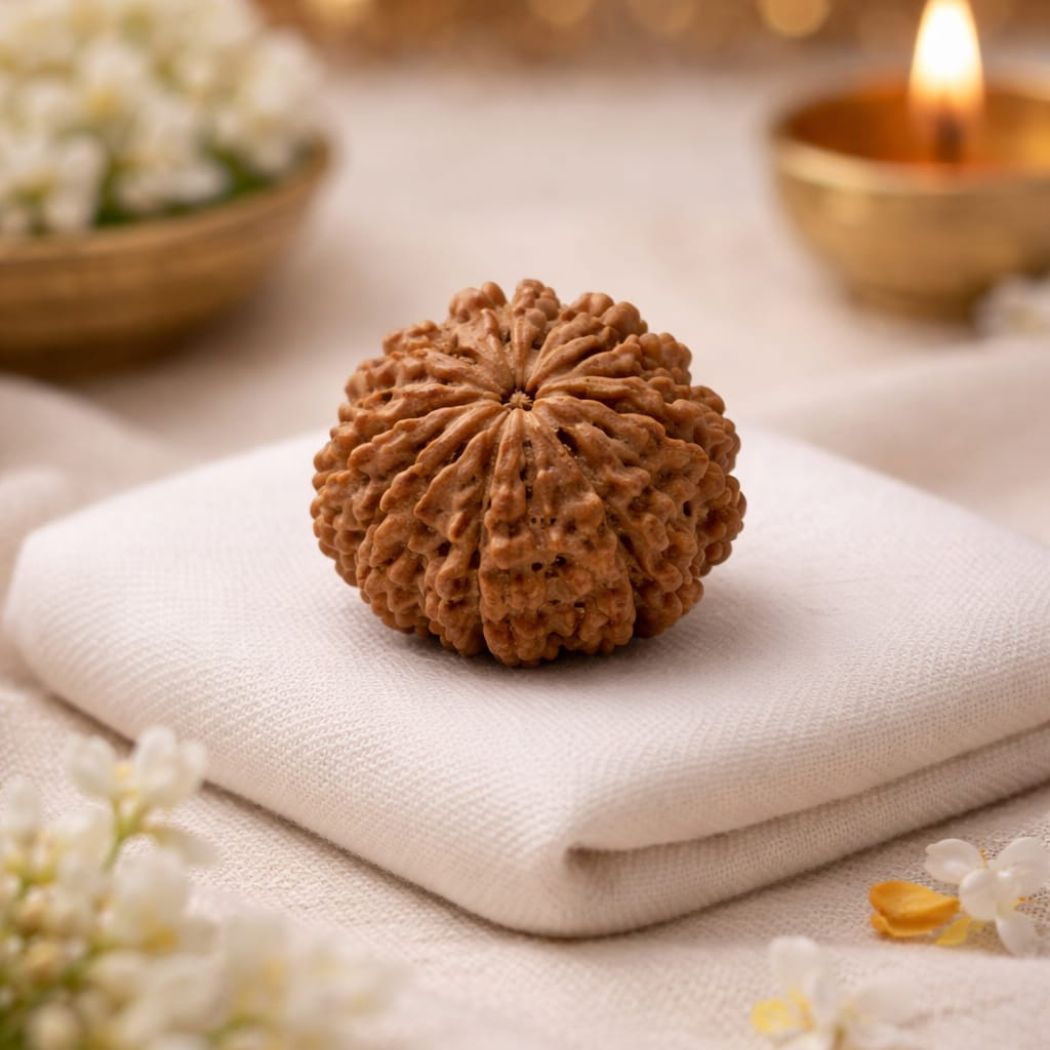 11 Mukhi Rudraksha (Hanuman Rudraksha)