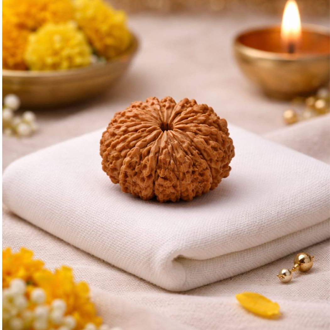 12 Mukhi Rudraksha (Surya Rudraksha)